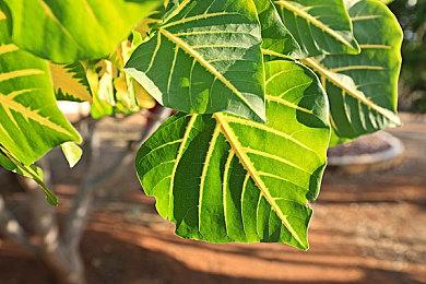 恐怖射击游戏《死亡微笑I･II》上线Steam 2022年夏季发售